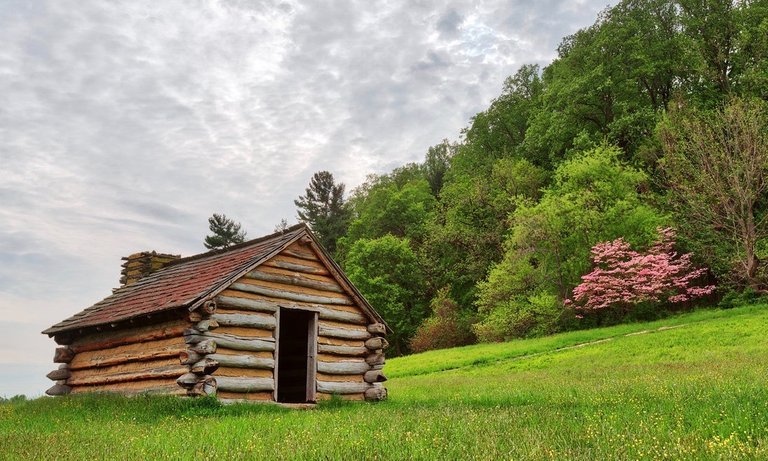 valley_blossom_forge_by_somadjinn-dc90p14 4.jpg