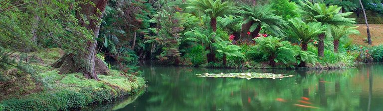 Azores-Terra-Nostra-Garden-1200w1.jpg