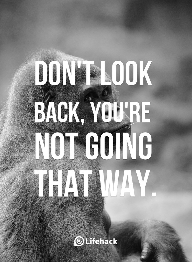 do-not-look-back1-751x1024.jpg