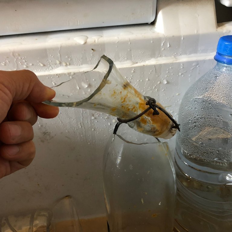 Exploded Kombucha bottle