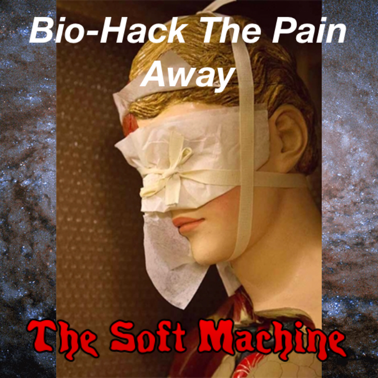 BioHackThePainAway3.PNG