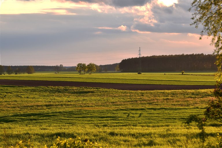 green field sunset poland.jpg