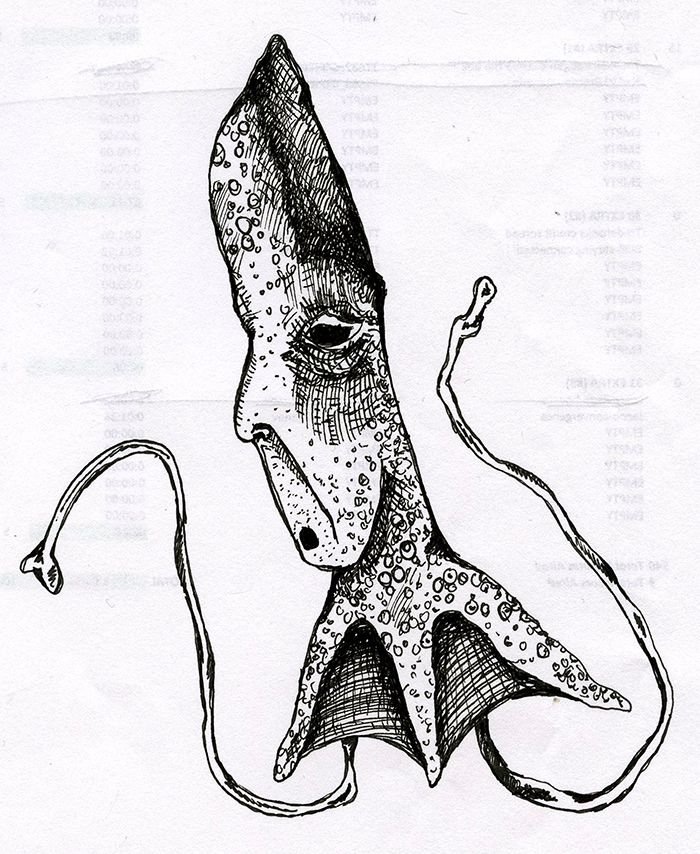 Squid Man654.jpg