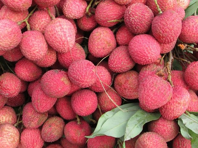 litchi-370476__480.jpg