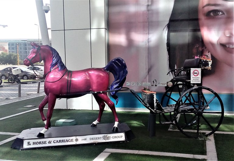 streetphotography horse and carraige .jpg