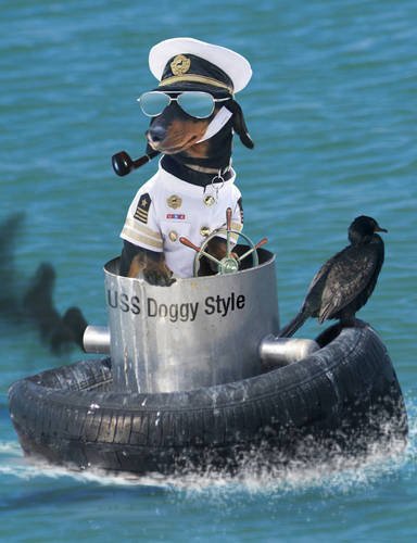 Captain Doggy.jpg