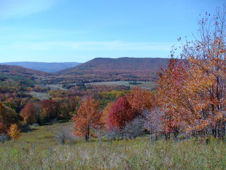 Autumn Colors All Around.jpg