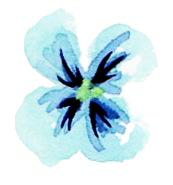 bluesmlflower.png