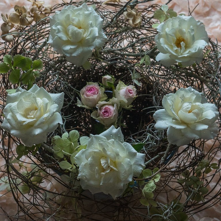 Nest of Roses-6642.jpg