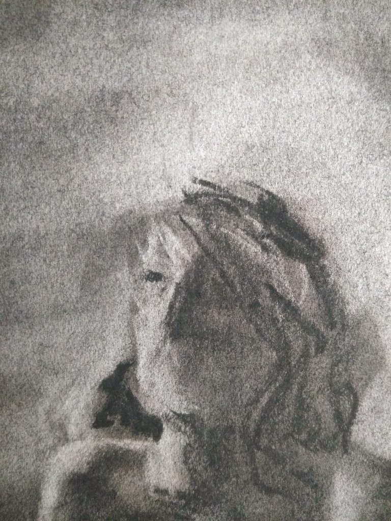 charcoal drawing 3.jpg