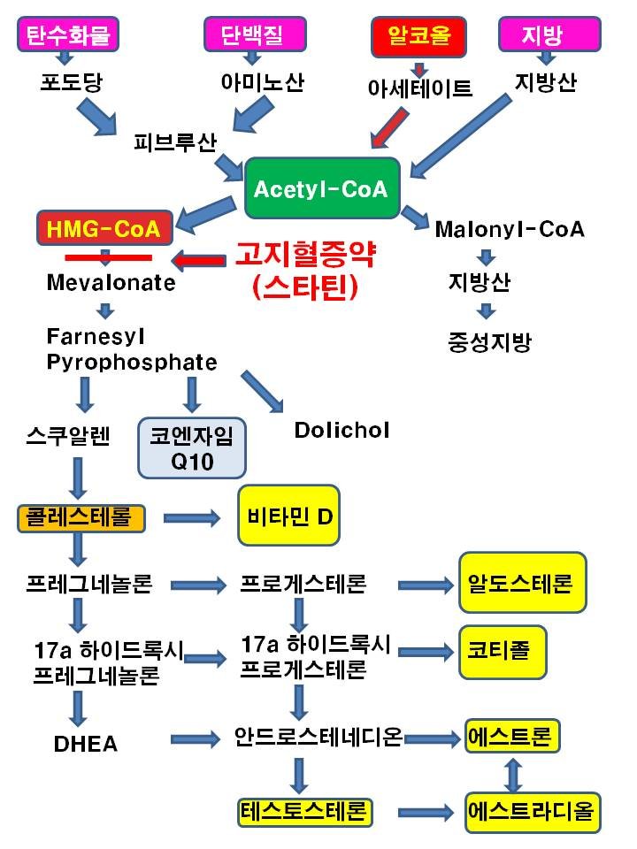 슬라이드2.JPG