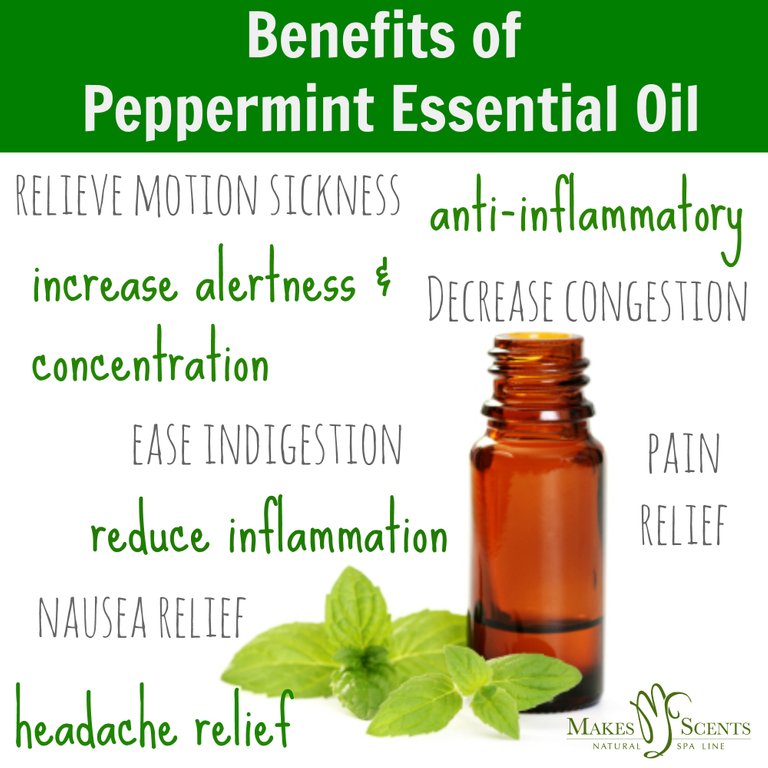 Benefits-of-Peppermint-Essential-Oil.jpg