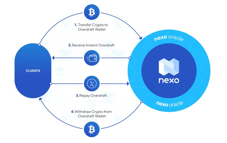 nexo model.jpg