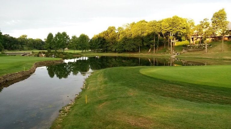 Pond at 8.jpg