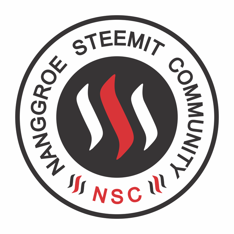 Logo NSC2.png