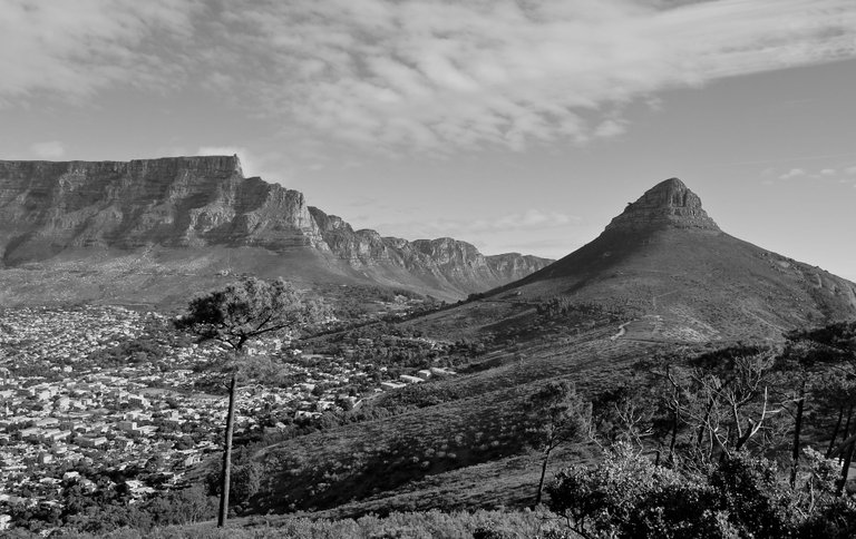 Cape Town Table Mtn & Lions Head from Signal Hill B&W.JPG