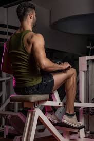 seated calf raise.jpg