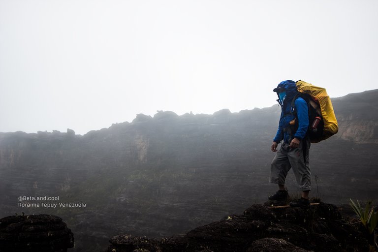 beta-and-cool-steemit-rafael-betancourt--tepuy-venezuela-roraima3.jpg