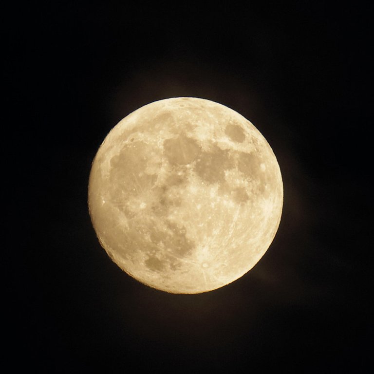 5833955873_c946a81fd4_o (FILEminimizer).jpg