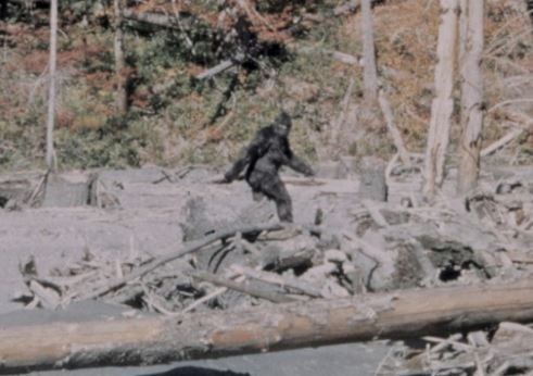 bigfoot.JPG