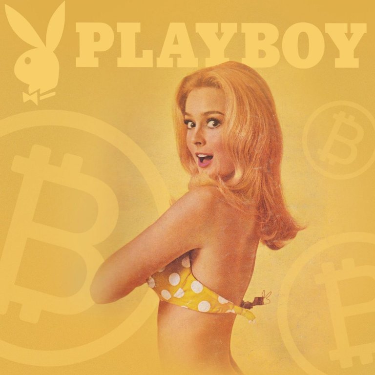 playboy-plans-to-integrate-multi-cryptocurrency-wallet-1024x1024.jpg