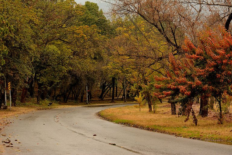 Ataturk_Avenue_-_Islamabad.JPG