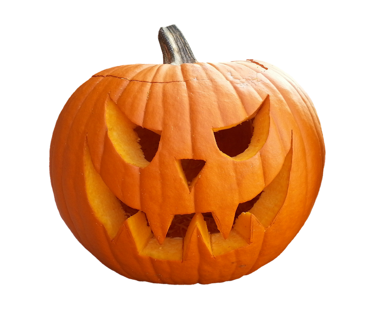 pumpkin-2805140_1920.png