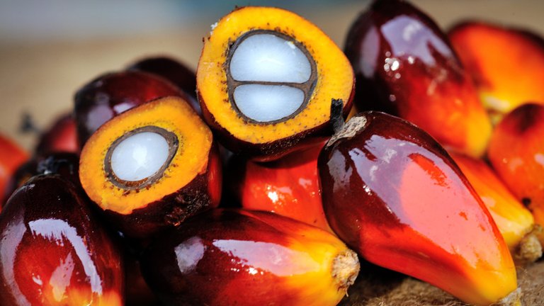 palm-oil.jpg