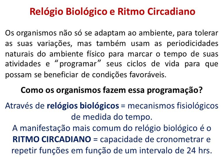 Relógio+Biológico+e+Ritmo+Circadiano.jpg