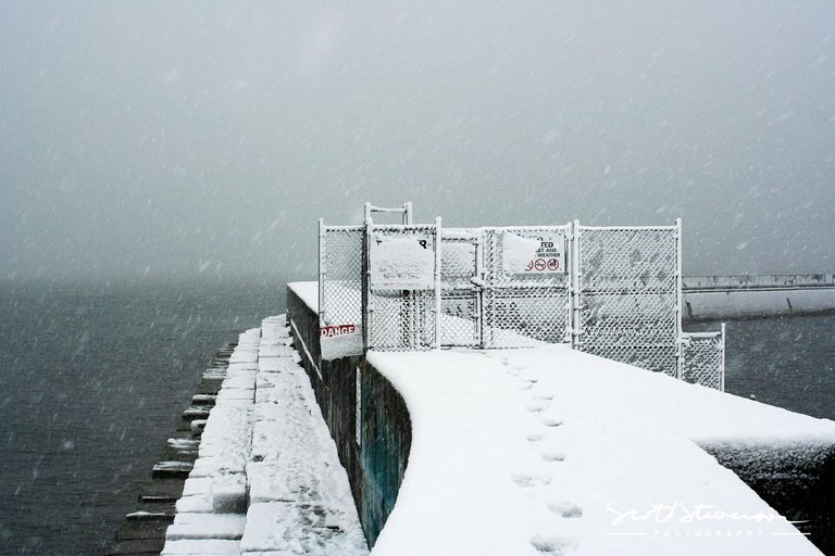 Ogden Point-1.jpg