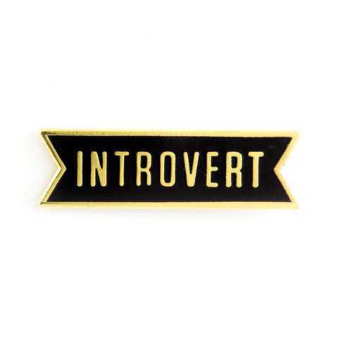 these-are-things-introvert-enamel-pin_large.png