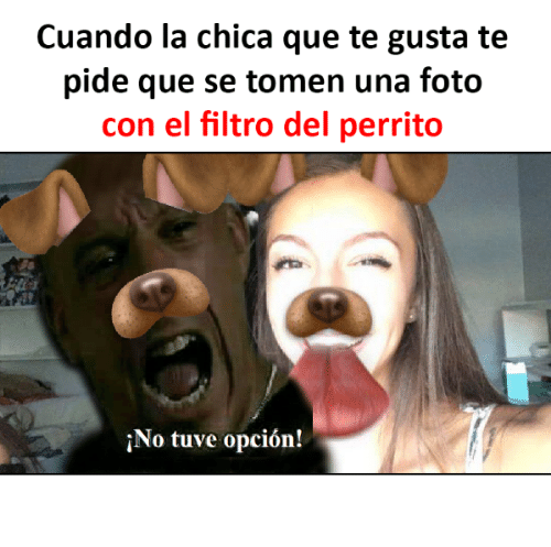 cuando la chica que te gusta te pide la foto de perrito.png