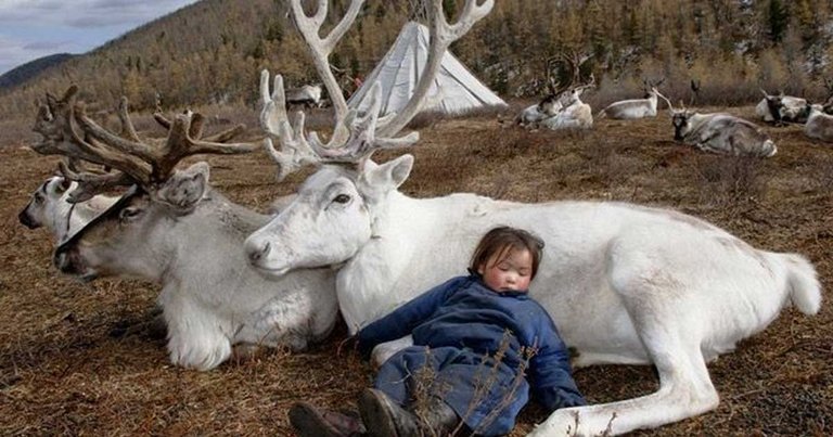 dukha_mongolian_reindeer_tribe_featured.jpg