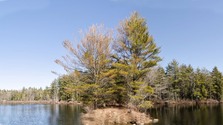 New Salem Lake.jpg