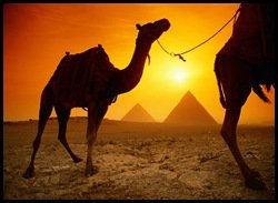 egypt[9].jpg