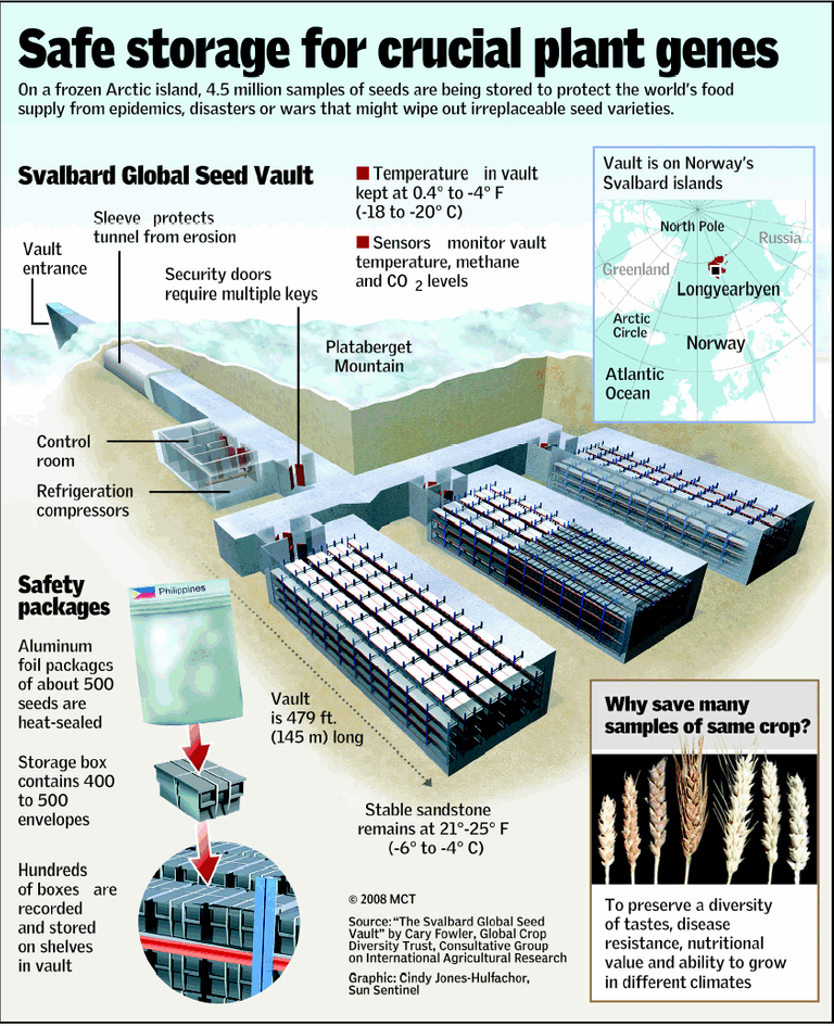 85 - Visual Representation - Svalbard Global Seed Vault - Dimensional Schematic.png