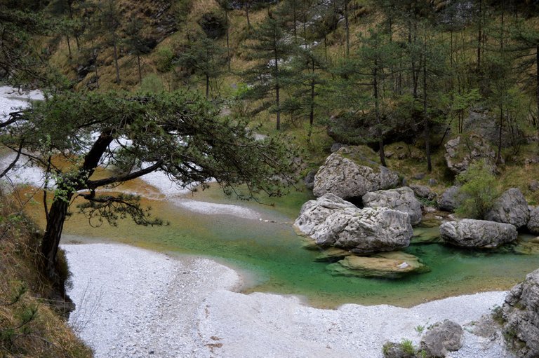 DSC_0028.JPG
