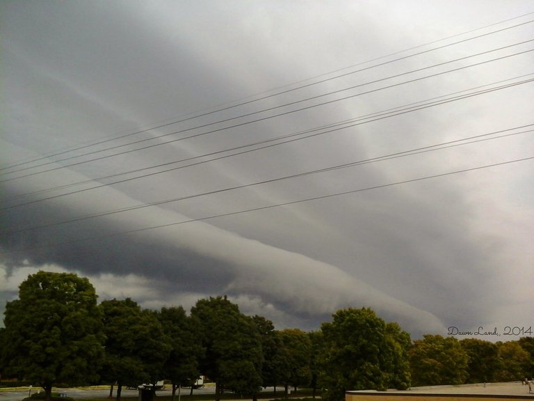 One eyed dragon head neck cloud formation- Dawn Land Nature Photography, 2014..jpg