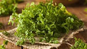 herbs chervil trimmed on burlap rodalesorganiclife.jpg