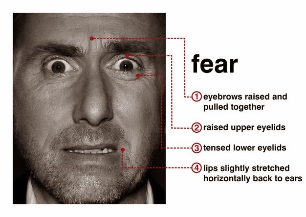 fear-face (1).jpg