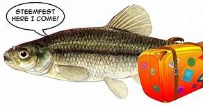 steemit minnow - Copy.jpg