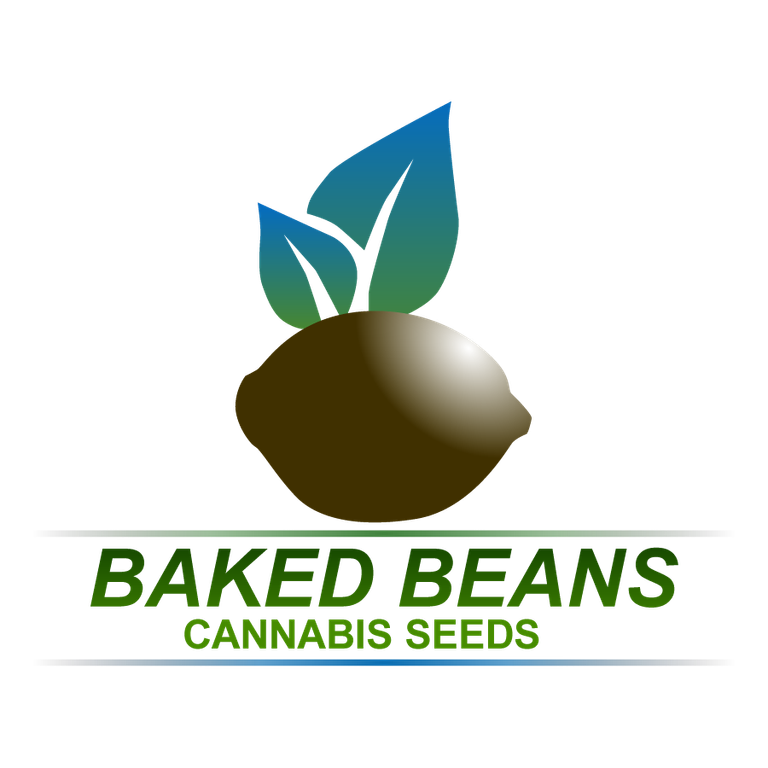 Bakedbeans Rough 300dpi Vector.fw GROUPED.fw.png