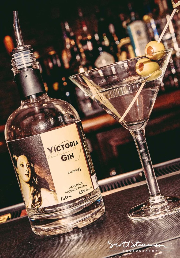 Victoria Gin-1.jpg