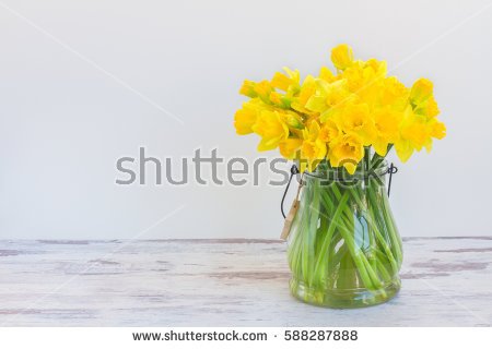 stock-photo-posy-of-bright-yellow-daffodils-on-white-wooden-table-with-copy-space-588287888.jpg
