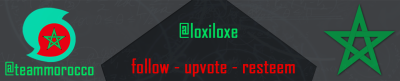 loxiloxe.png