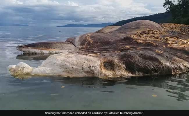 hulung-beach_650x400_41494591583.jpg