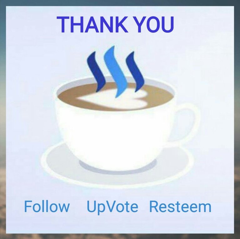 Thanks steemit.JPG