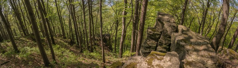 falkenstein-bessingerklippen.jpg