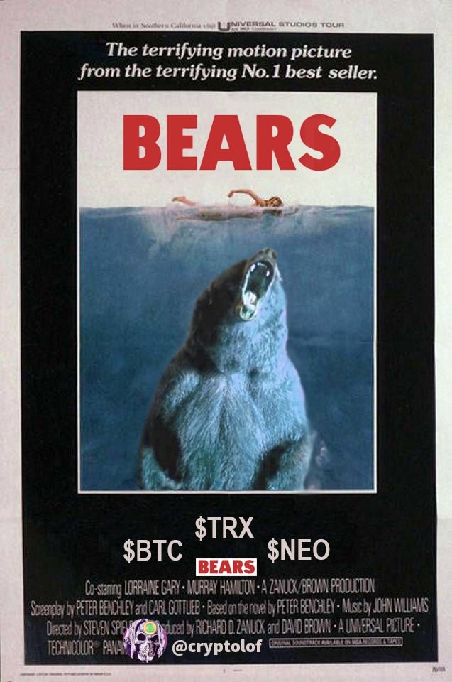 BEARS.jpg