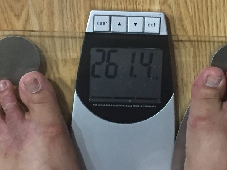 Weight aug 14 2017.jpg